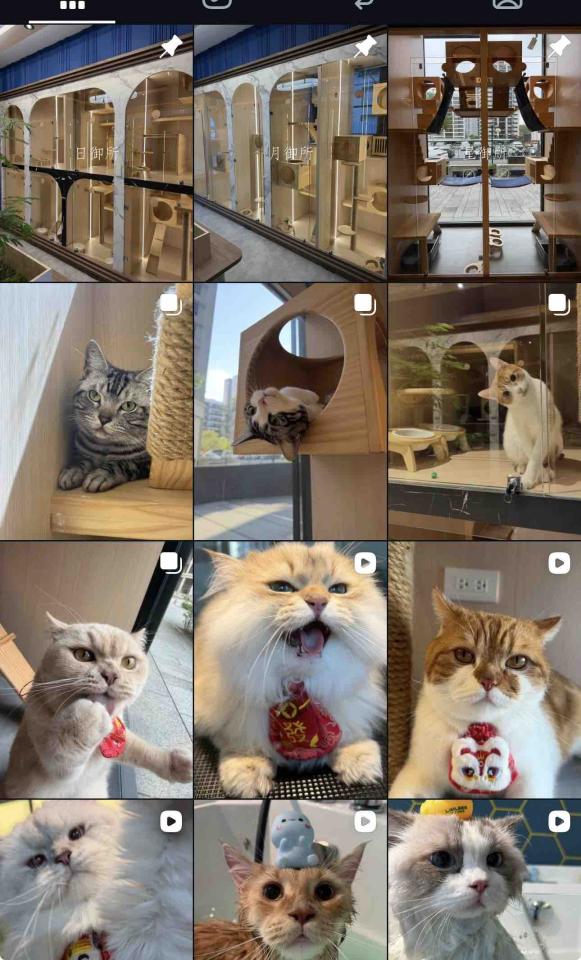 商業攝影案件圖片