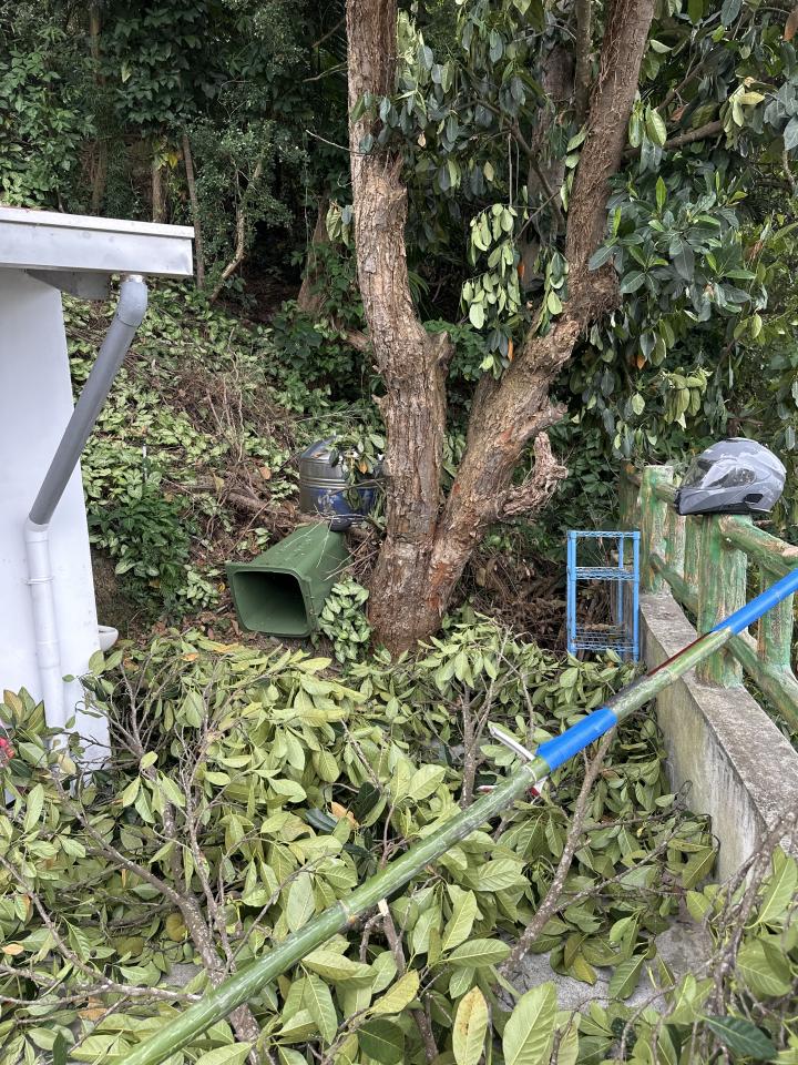 園藝維護案件圖片