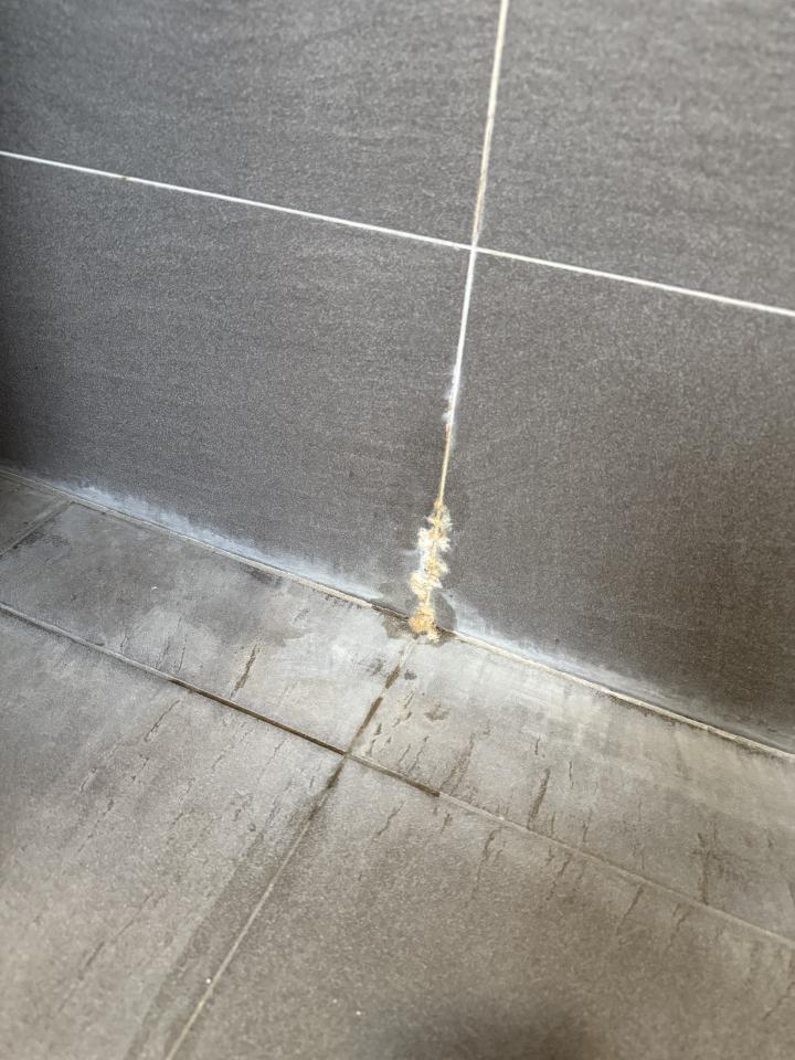 漏水處理案件圖片