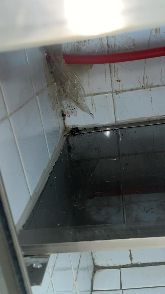 廚房清潔案件圖片