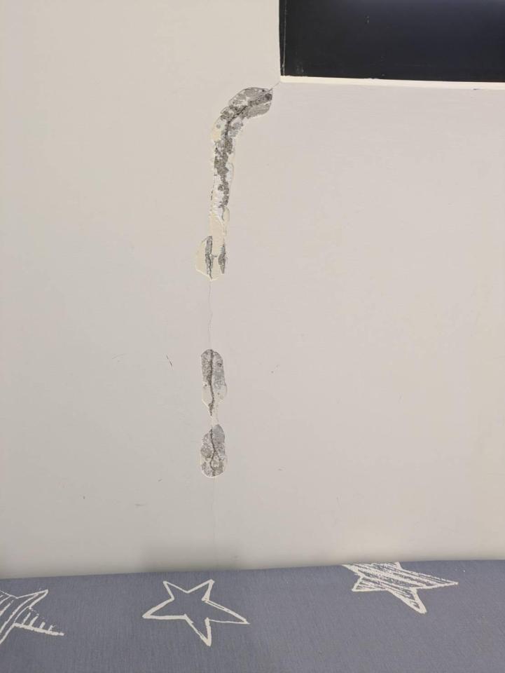 泥作/水泥施工案件圖片