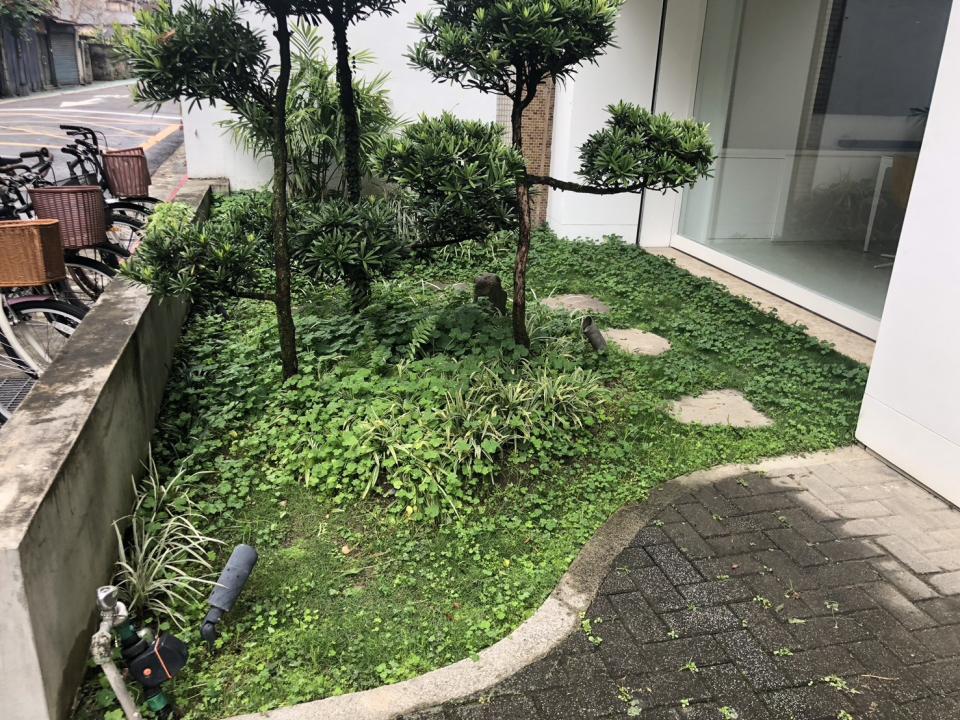 園藝維護案件圖片