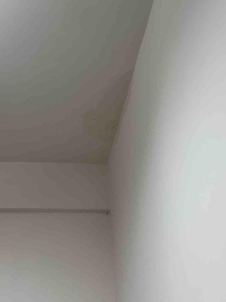 漏水處理案件圖片