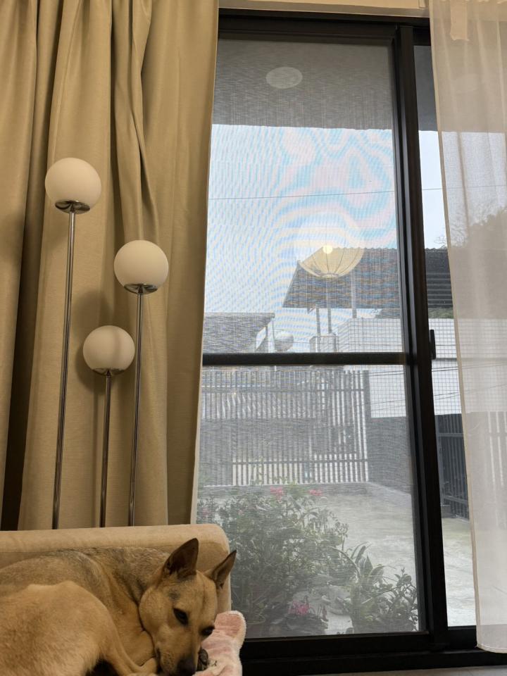 紗窗裝修案件圖片