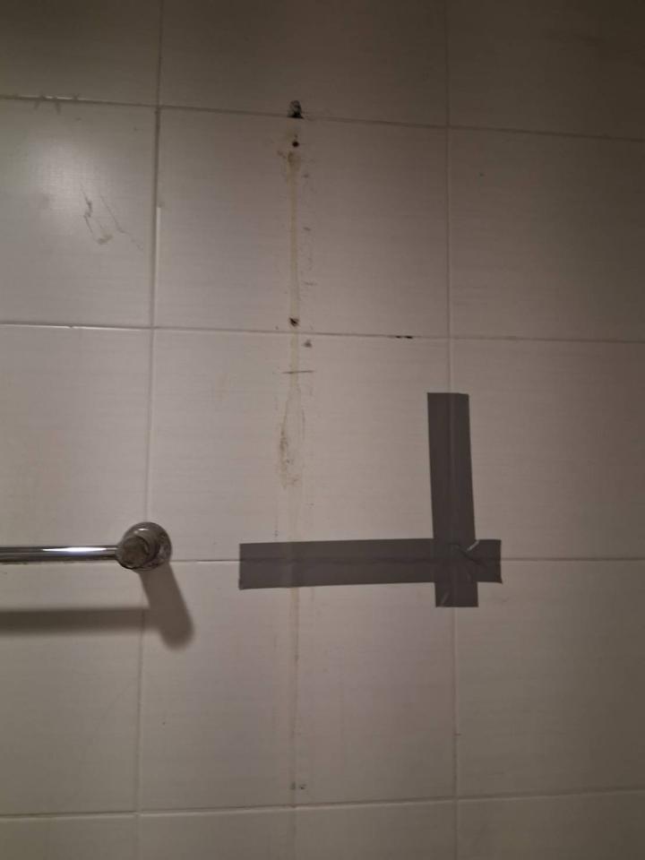 泥作/水泥施工案件圖片