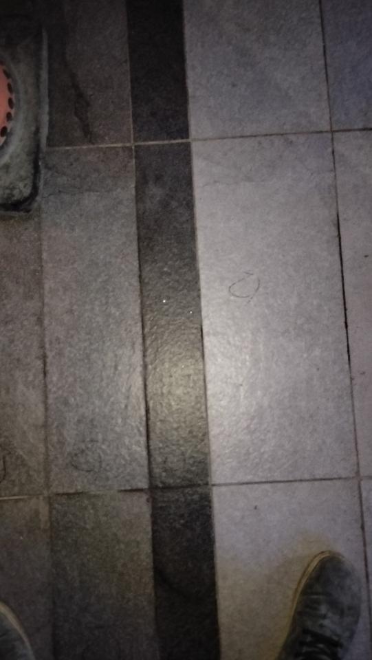 磁磚修補案件圖片