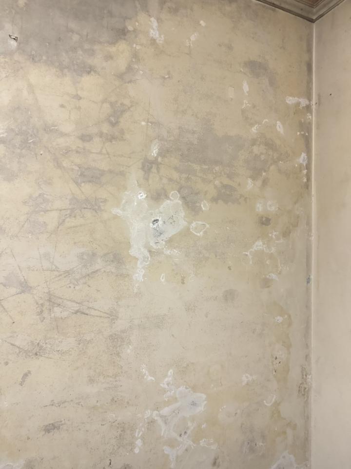 壁癌處理案件圖片