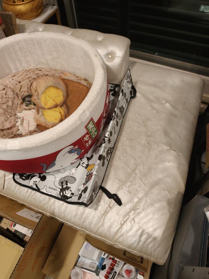 沙發修理案件圖片