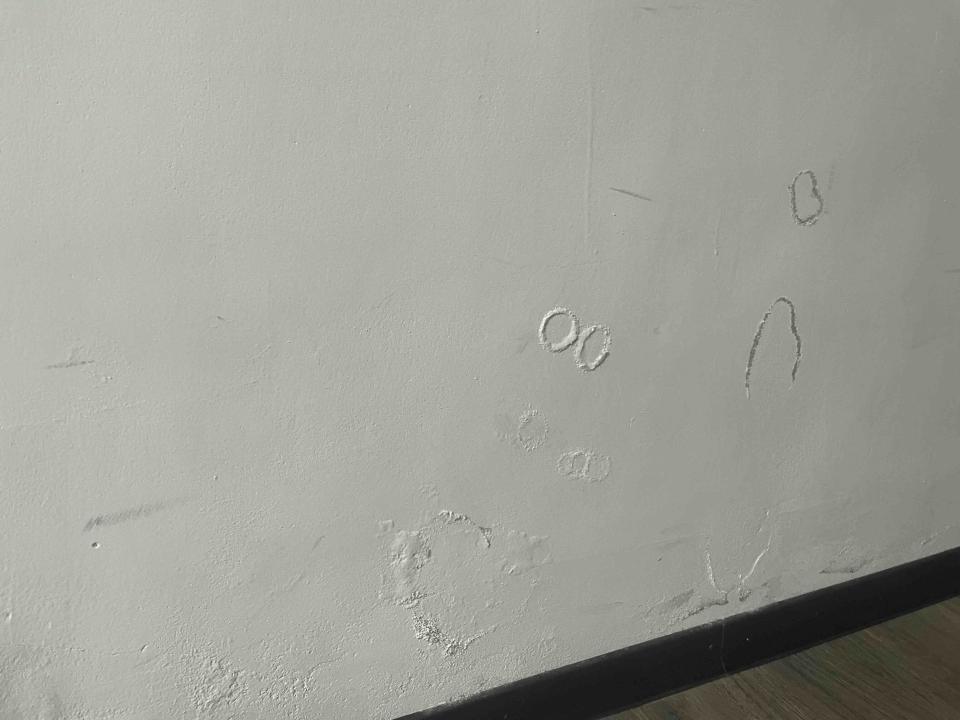 壁癌處理案件圖片