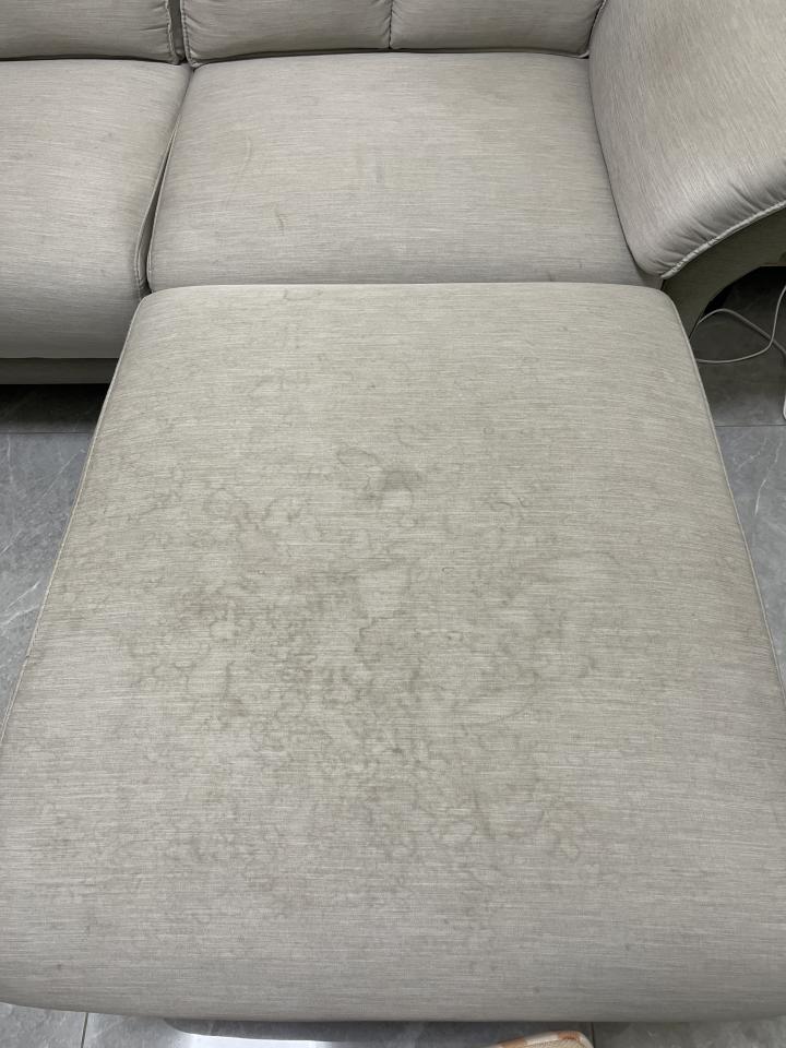 沙發清潔案件圖片