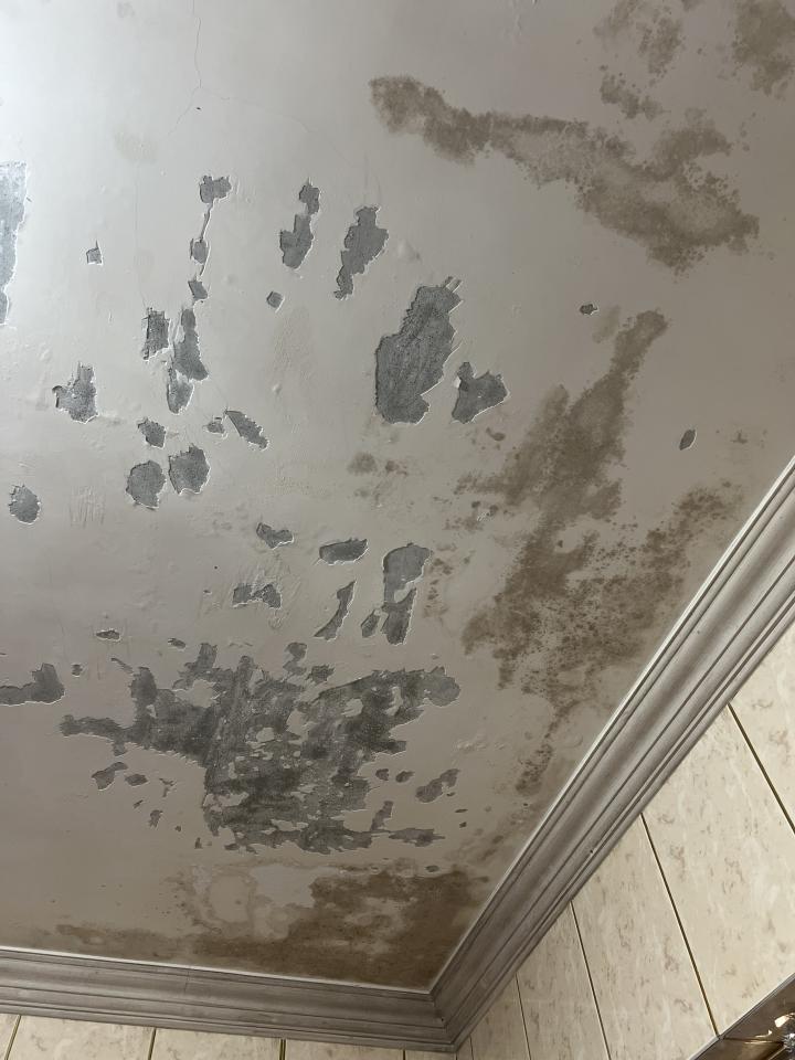 壁癌處理案件圖片