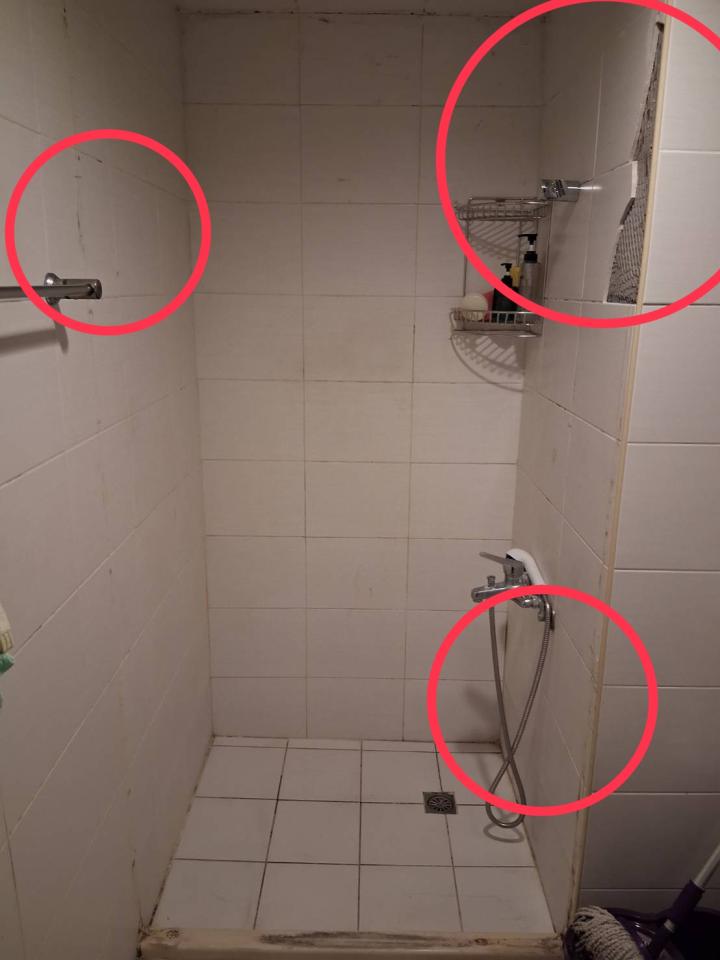 泥作/水泥施工案件圖片