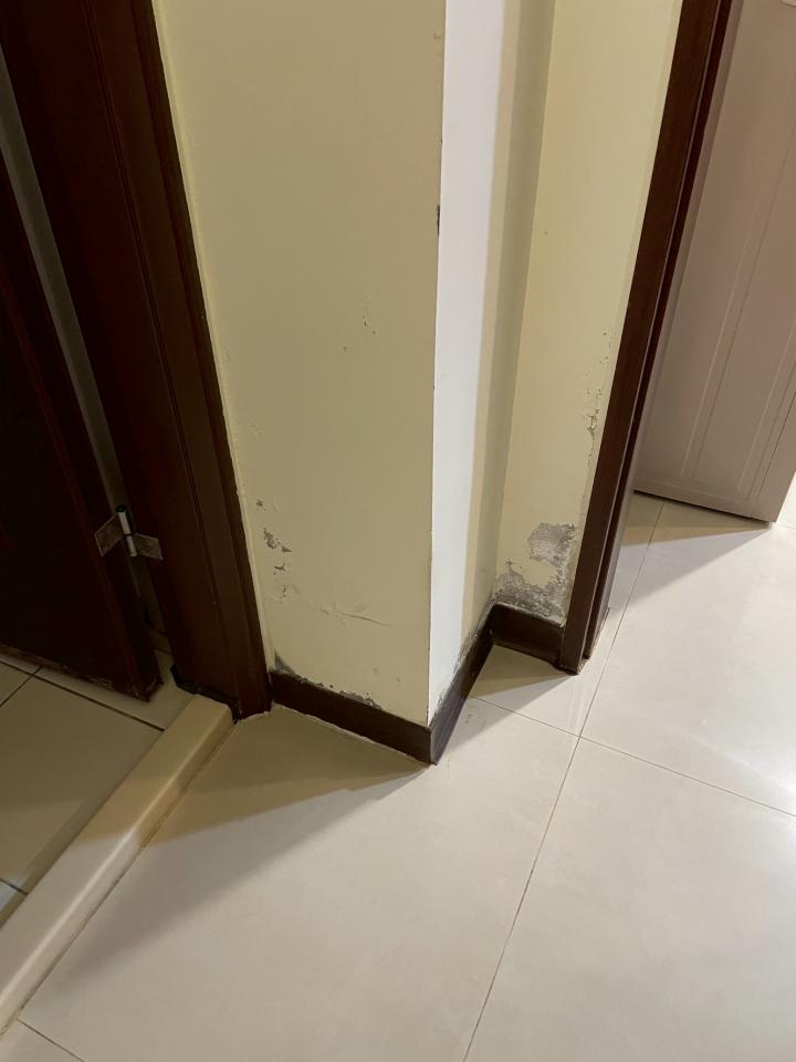 油漆工程案件圖片