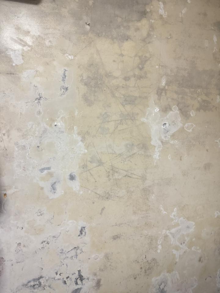 壁癌處理案件圖片