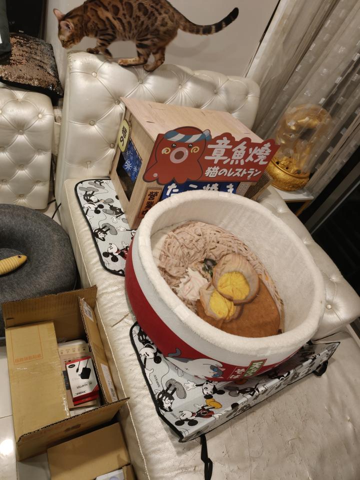 沙發修理案件圖片