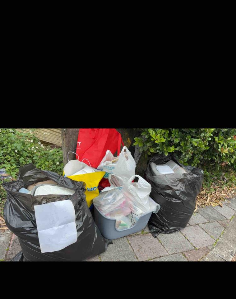 代收垃圾案件圖片