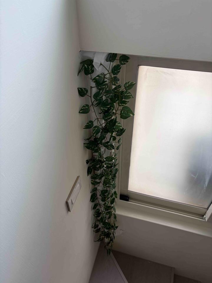 冷氣包管案件圖片