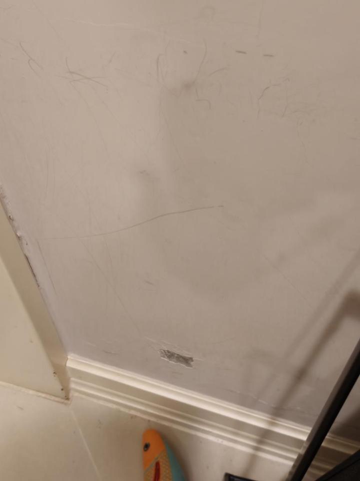 油漆工程案件圖片