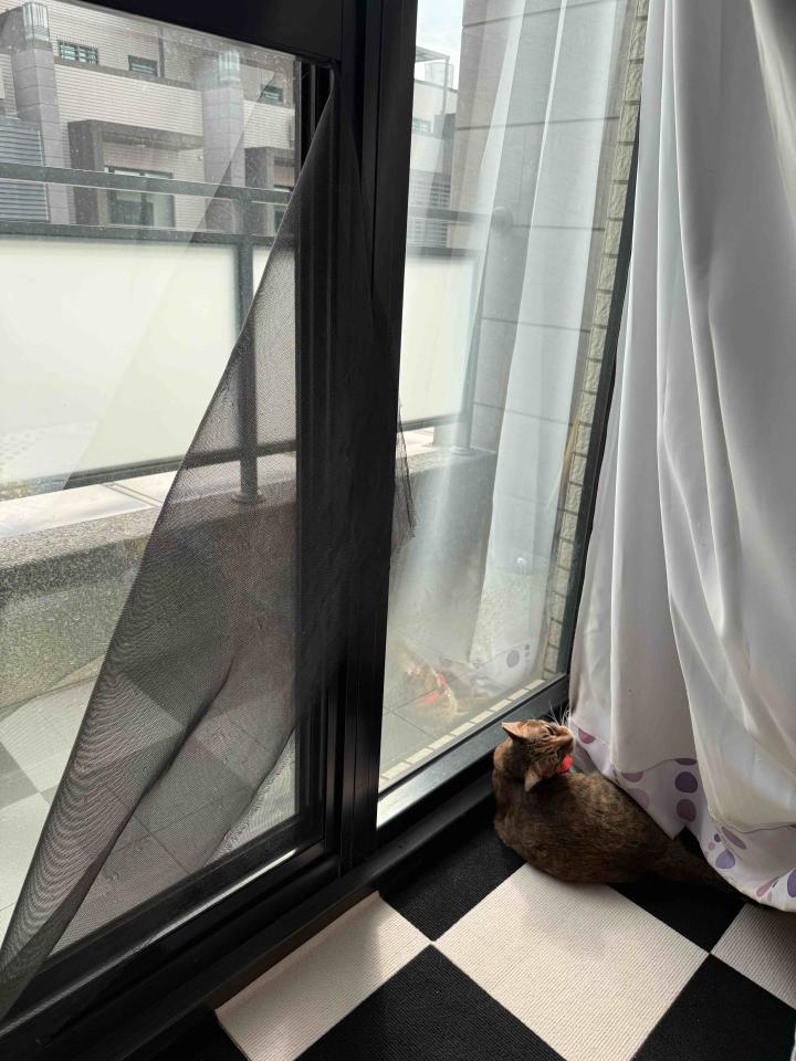 紗窗裝修案件圖片