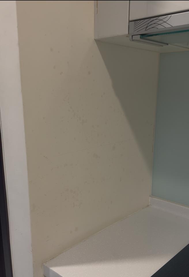 廚房清潔案件圖片