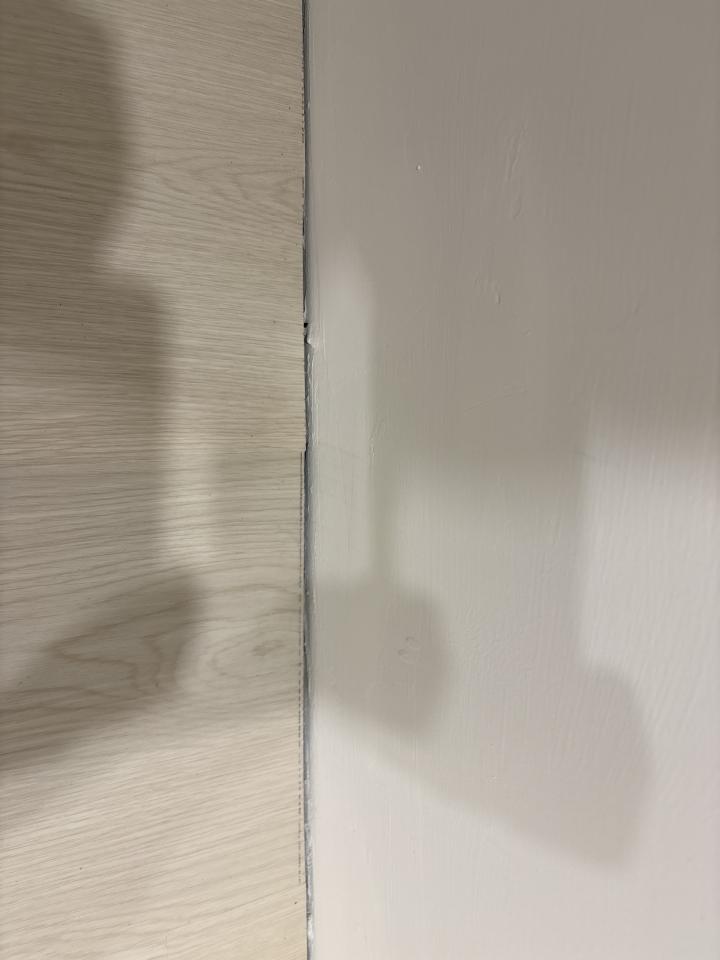 矽利康工程案件圖片