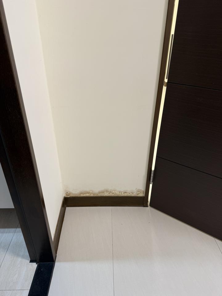 漏水處理案件圖片