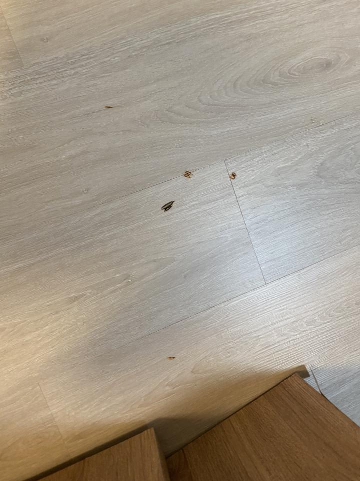 超耐磨木地板案件圖片