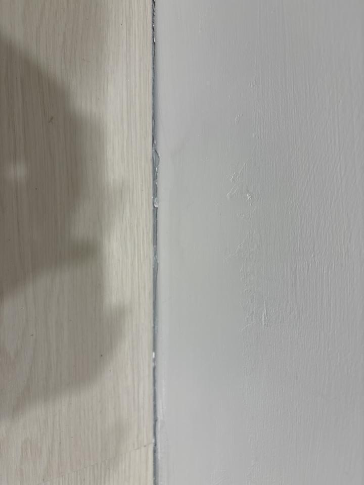 矽利康工程案件圖片