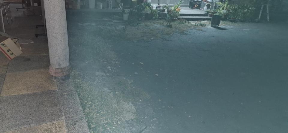 園藝維護案件圖片