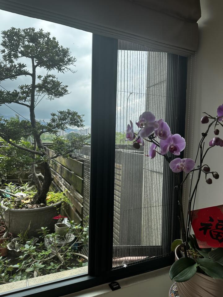 紗窗裝修案件圖片