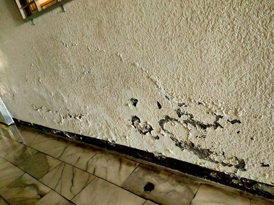 室內設計案件圖片