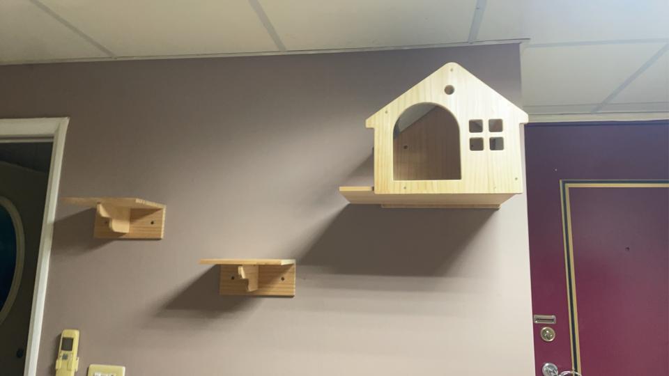 居家修繕案件圖片