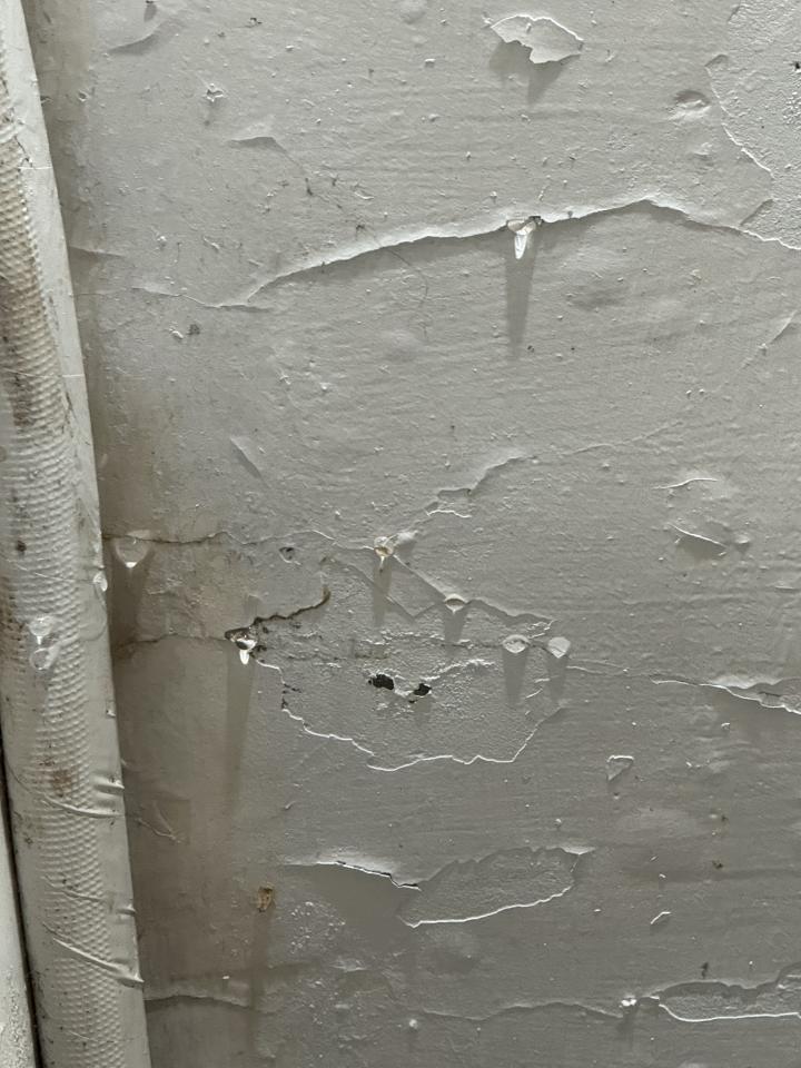 漏水處理案件圖片