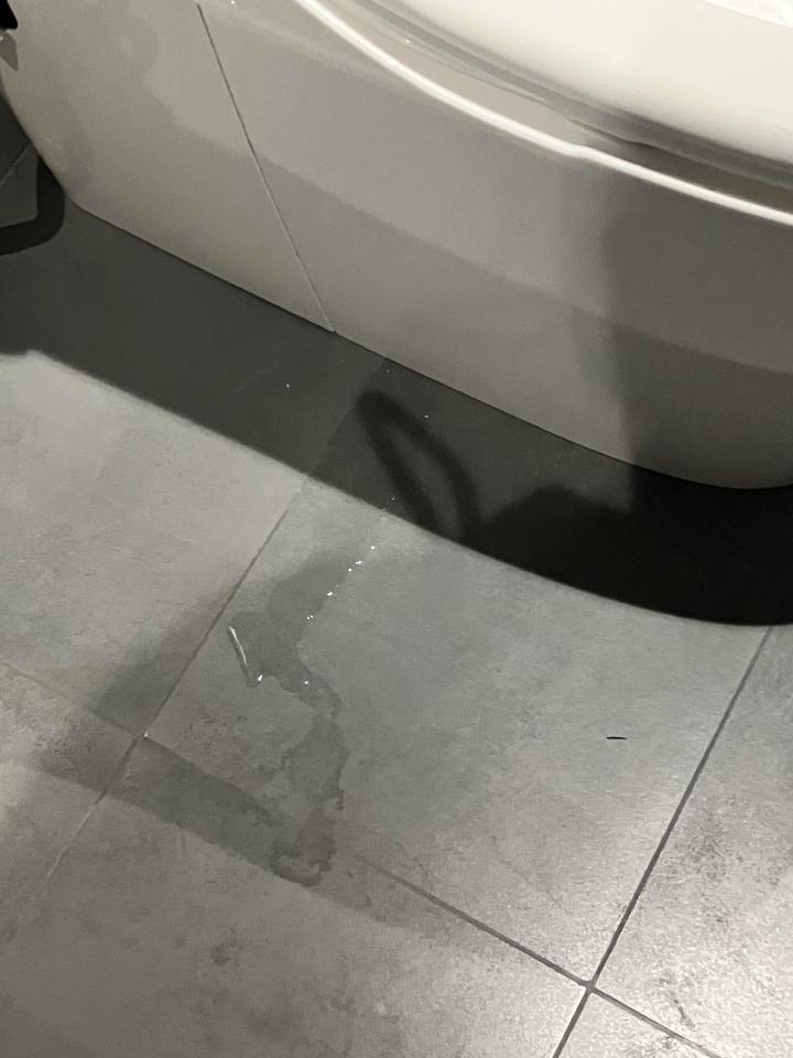 馬桶裝修案件圖片