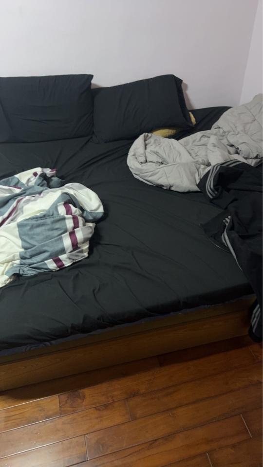 大型垃圾回收案件圖片