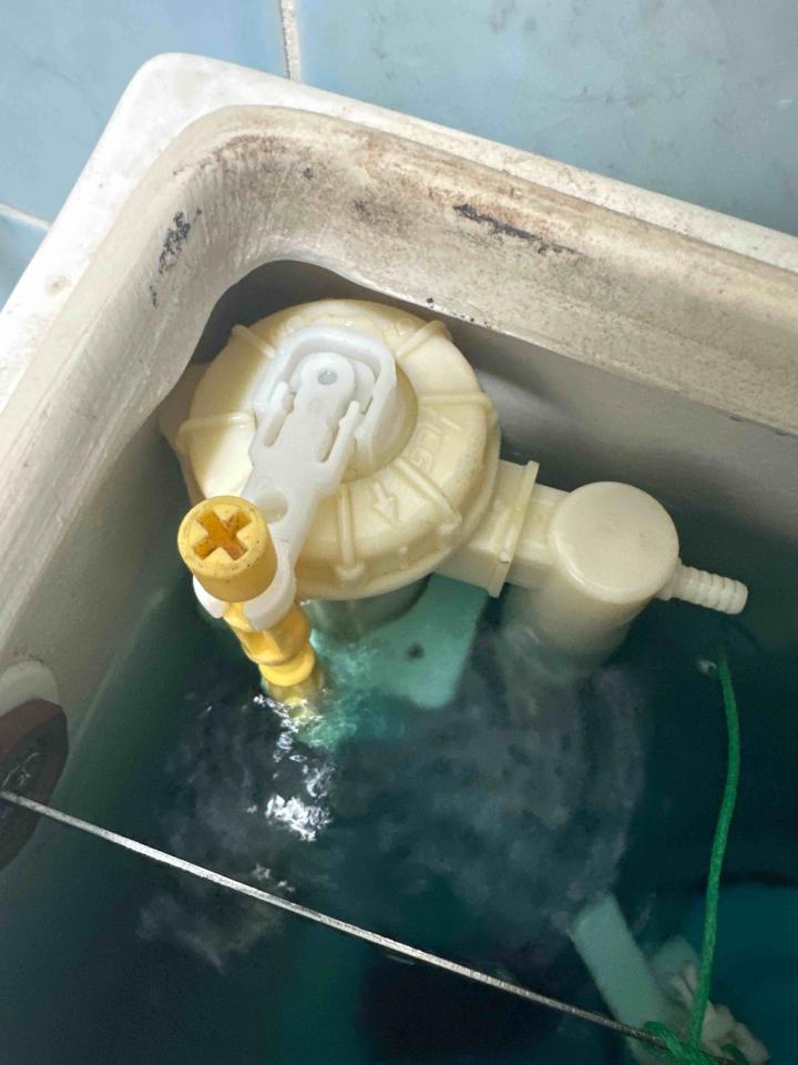 馬桶裝修案件圖片