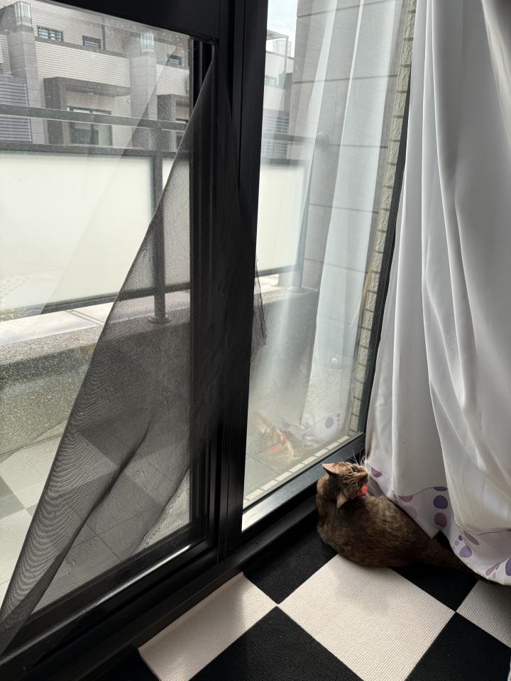 紗窗裝修案件圖片