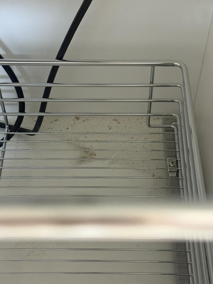 廚房清潔案件圖片