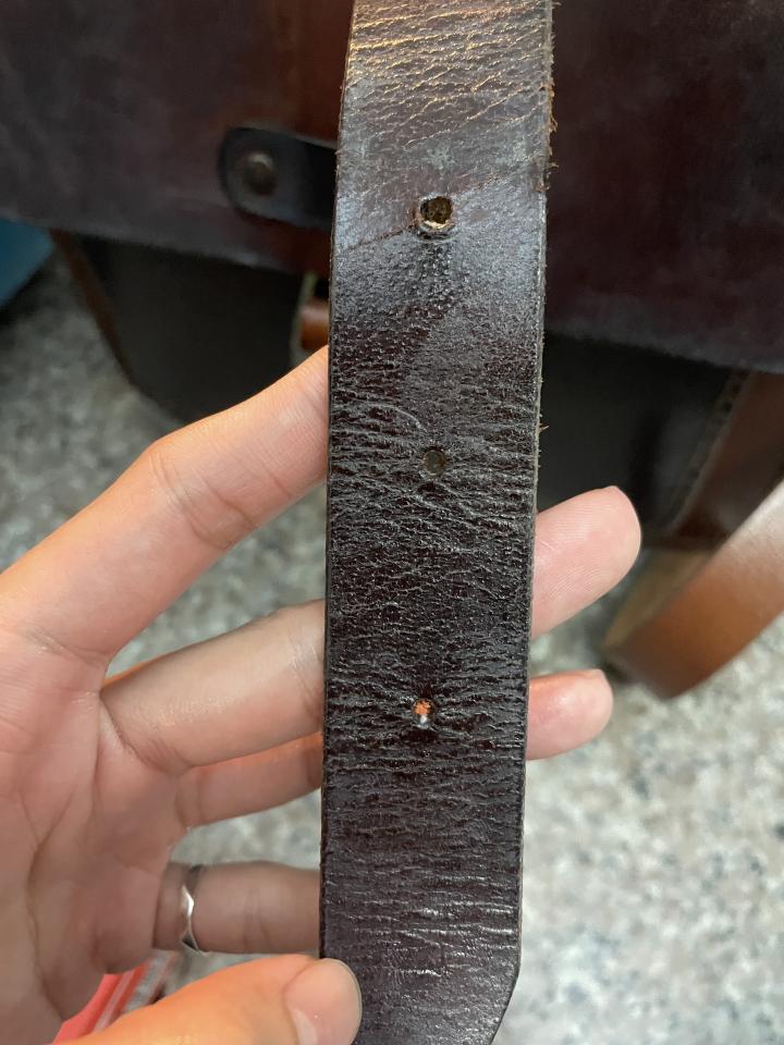 皮革保養案件圖片