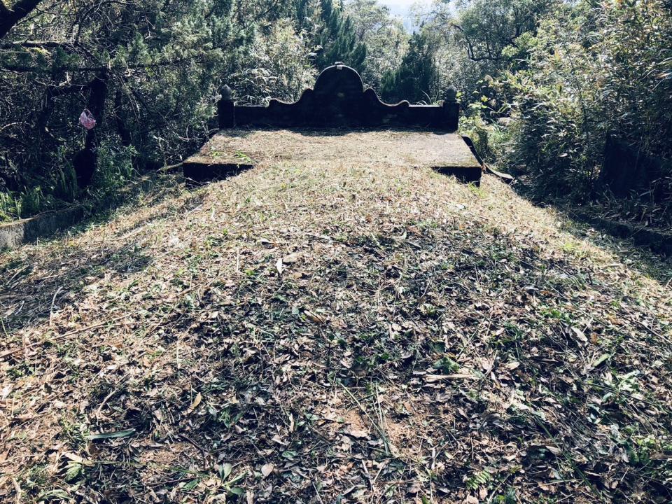 園藝維護案件圖片