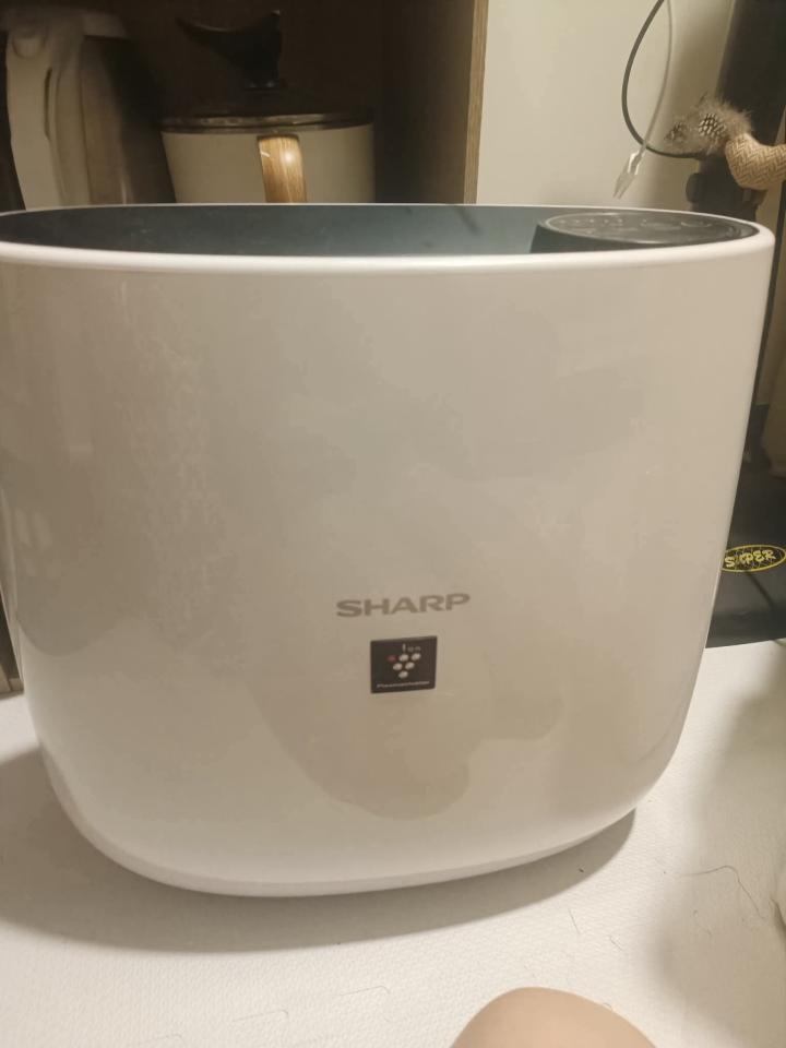 大型垃圾回收案件圖片