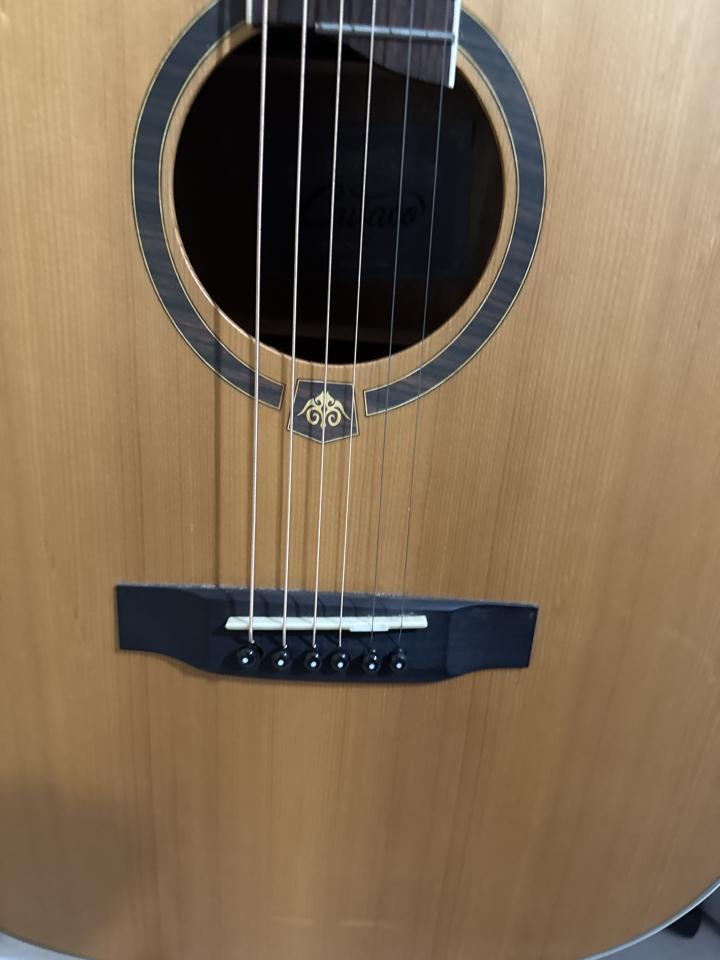 樂器行案件圖片