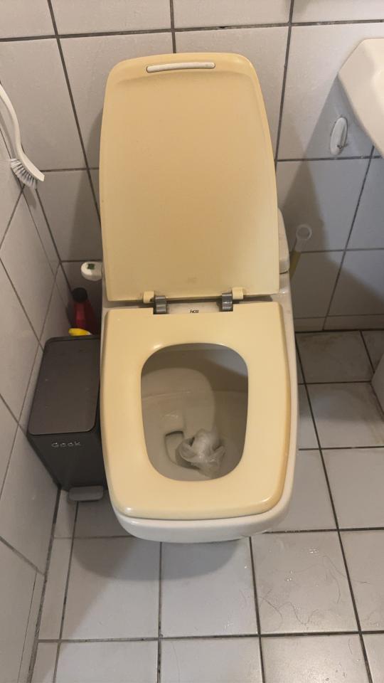 免治馬桶裝修案件圖片