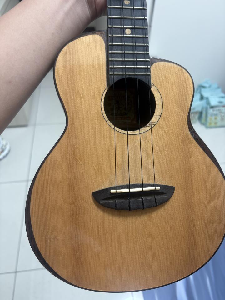 樂器行案件圖片