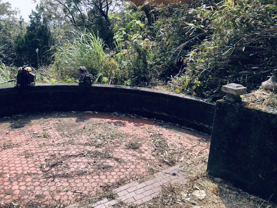 園藝維護案件圖片