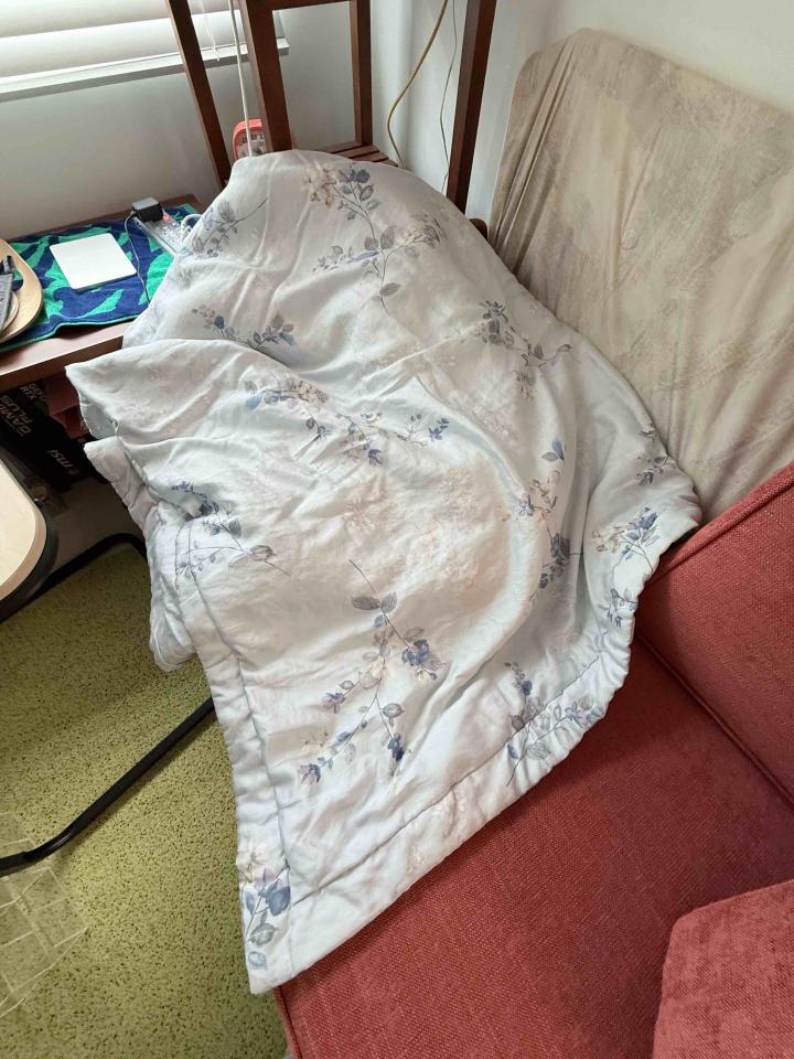 衣物修改案件圖片