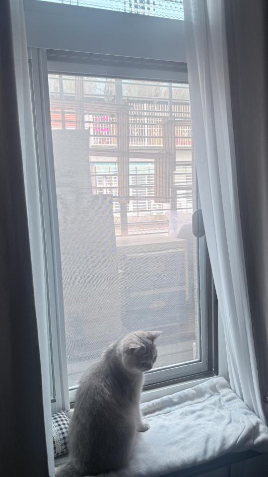 陽台紗網安裝案件圖片