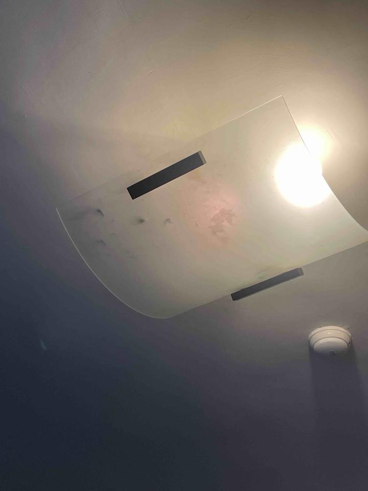 燈具維修案件圖片