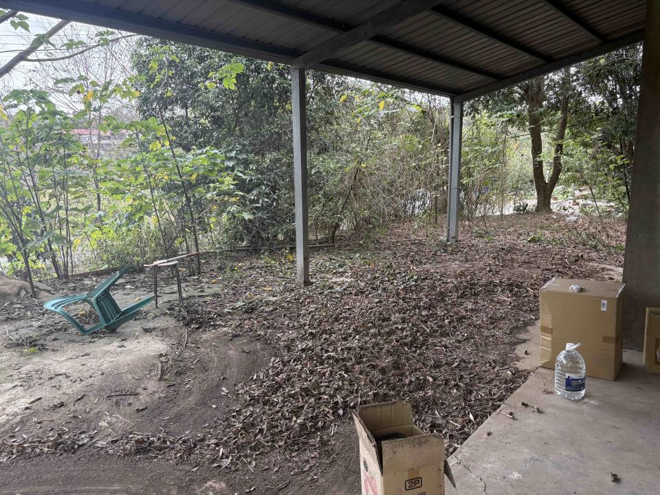 園藝維護案件圖片