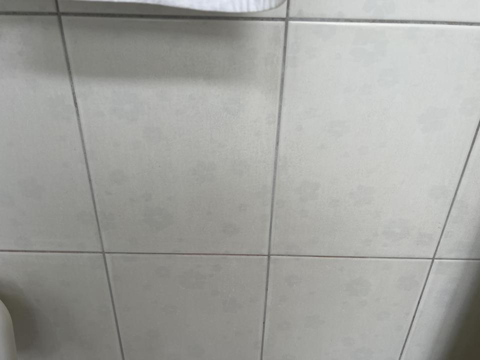 浴室扶手安裝案件圖片